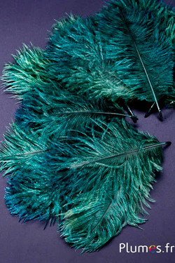 Autruche Bellies - 8-13 cm - vert sapin